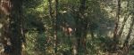 Virginie Ledoyen, Aitana Sanchez-Gijon -Bosque de sombras-
