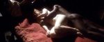 Bryce Dallas Howard -Manderlay-