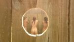 Ashley Totin -The Woods Have Eyes-