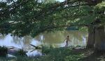 Anne Brochet -Tous les matins du monde-