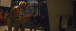 Erika Linder, Natalie Krill -Below Her Mouth-