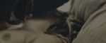 Halle Berry -Bruised-
