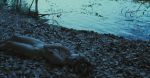 Nina Hoss -Das Herz ist ein dunkler Wald-