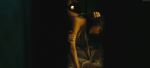 Kelly Hu -Farm House-
