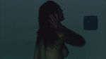 Natasha Alam -Shadow Puppets-